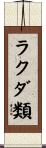 ラクダ類 Scroll
