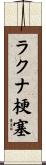 ラクナ梗塞 Scroll