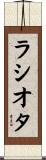 ラシオタ Scroll
