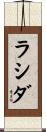 ラシダ Scroll