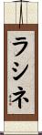 ラシネ Scroll