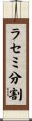 ラセミ分割 Scroll