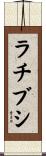 ラチブシ Scroll