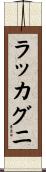 ラッカグニ Scroll