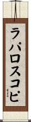 ラパロスコピ Scroll