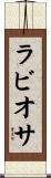 ラビオサ Scroll