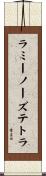 ラミーノーズ・テトラ Scroll