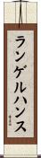 ランゲルハンス Scroll