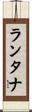 ランタナ Scroll