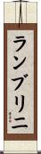Lambrini Scroll