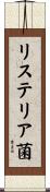 リステリア菌 Scroll