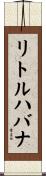 リトルハバナ Scroll