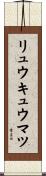 リュウキュウマツ Scroll