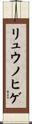 リュウノヒゲ Scroll