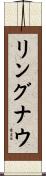 リングナウ Scroll