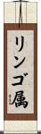 リンゴ属 Scroll