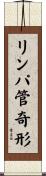 リンパ管奇形 Scroll