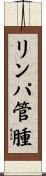 リンパ管腫 Scroll