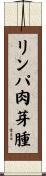 リンパ肉芽腫 Scroll