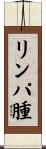 リンパ腫 Scroll