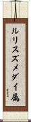 ルリスズメダイ属 Scroll