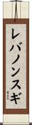 レバノンスギ Scroll