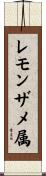レモンザメ属 Scroll