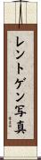 レントゲン写真 Scroll