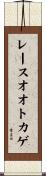 レースオオトカゲ Scroll