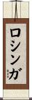 ロシンガ Scroll