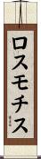 ロスモチス Scroll