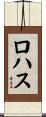 Rojas Scroll