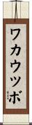 ワカウツボ Scroll