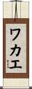 ワカエ Scroll