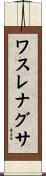ワスレナグサ Scroll