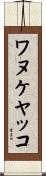 ワヌケヤッコ Scroll