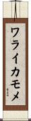 ワライカモメ Scroll