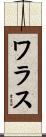 ワラス Scroll