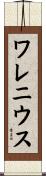 ワレニウス Scroll