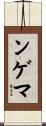 ンゲマ Scroll