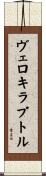 ヴェロキラプトル Scroll