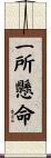 Life Of A Samurai Scroll