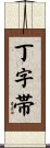 丁字帯 Scroll