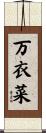 万衣菜 Scroll