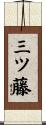 三ツ藤 Scroll