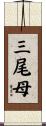 三尾母 Scroll