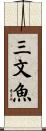 三文魚 Scroll