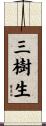 三樹生 Scroll
