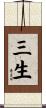 三生 Scroll