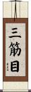 三筋目 Scroll